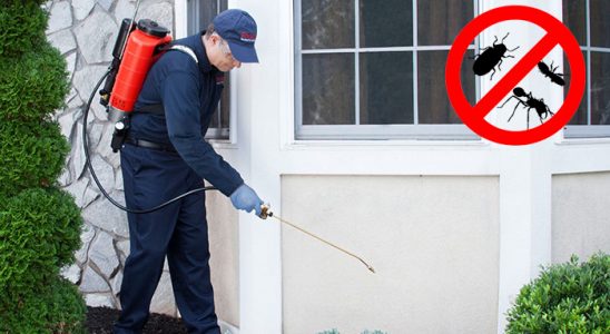 Çamardı Hamam Böceği İlaçlama böcek ilaçlama ve haşere kontrolü — ilaclama-tr.com